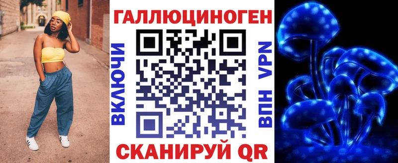 Купить закладки  Фокино  Псилоцибиновые грибы Cubensis 